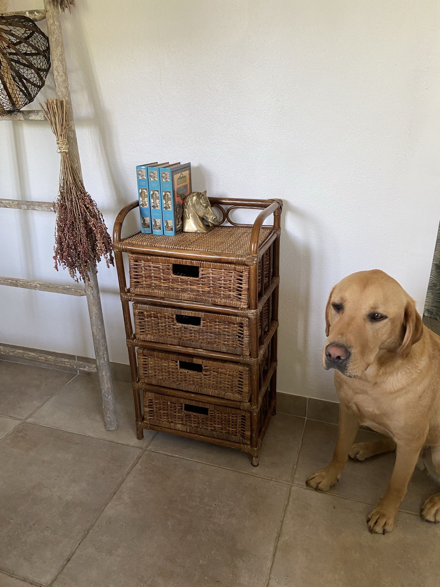 Cabinet / chest of drawers 4 drawers in rattan & vintage bamboo