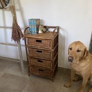 Cabinet / chest of drawers 4 drawers in rattan & vintage bamboo