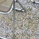 Set of 4 70s design folding chairs in smoked plexiglass and chrome metal