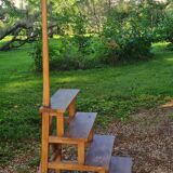 Old library stepladder