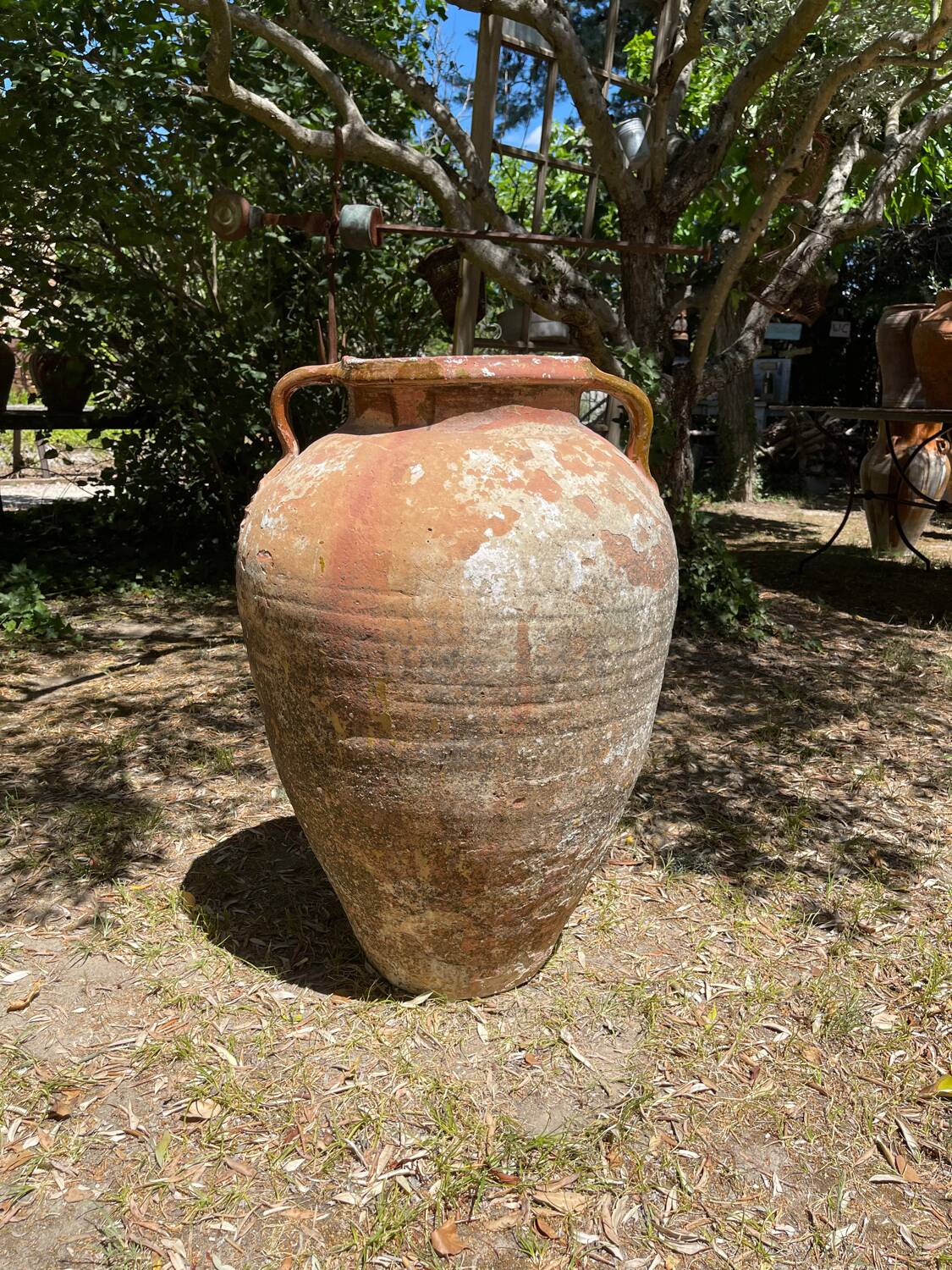 Terracotta pottery jar