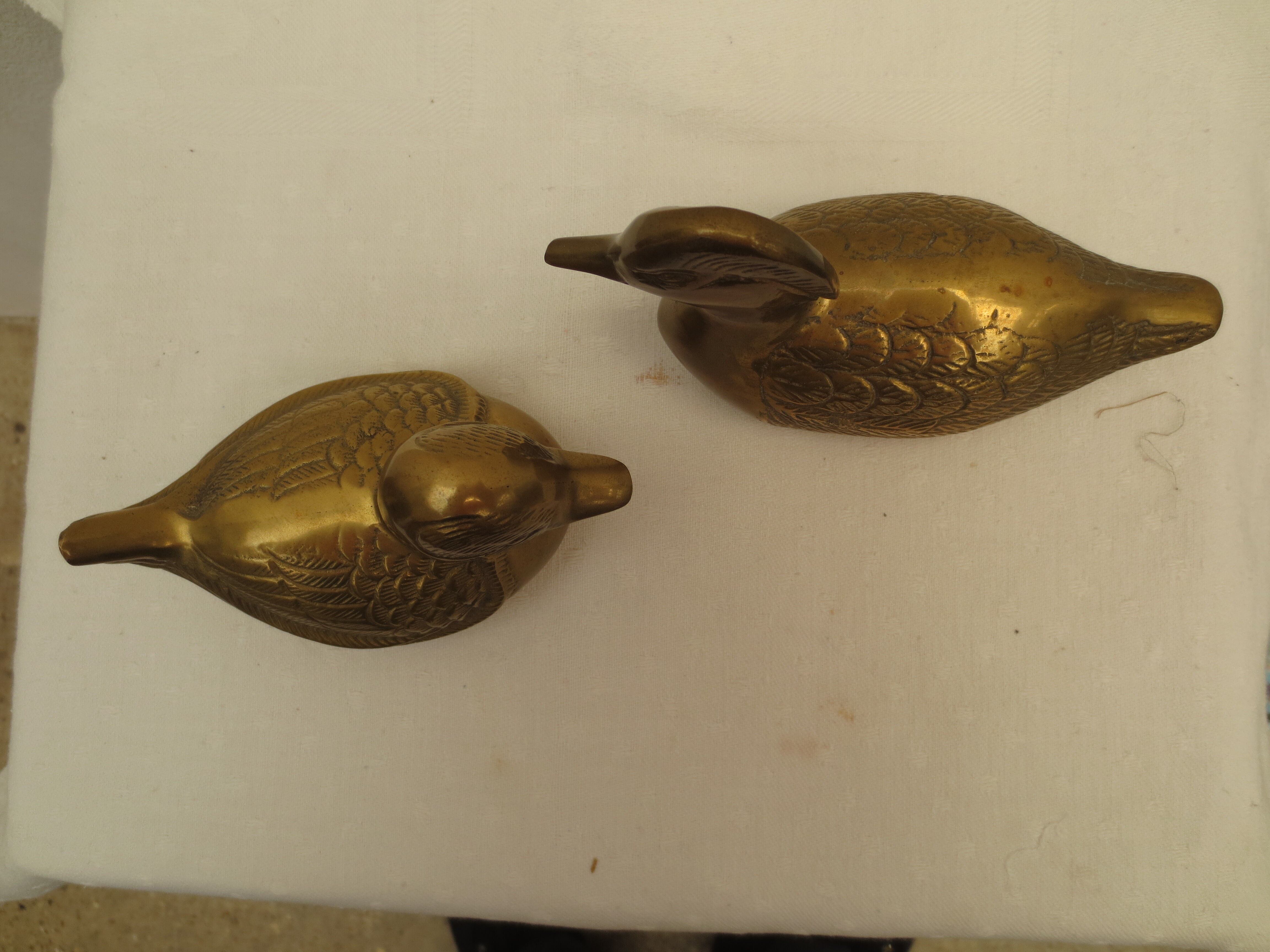 Brass ducks duo