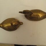 Brass ducks duo