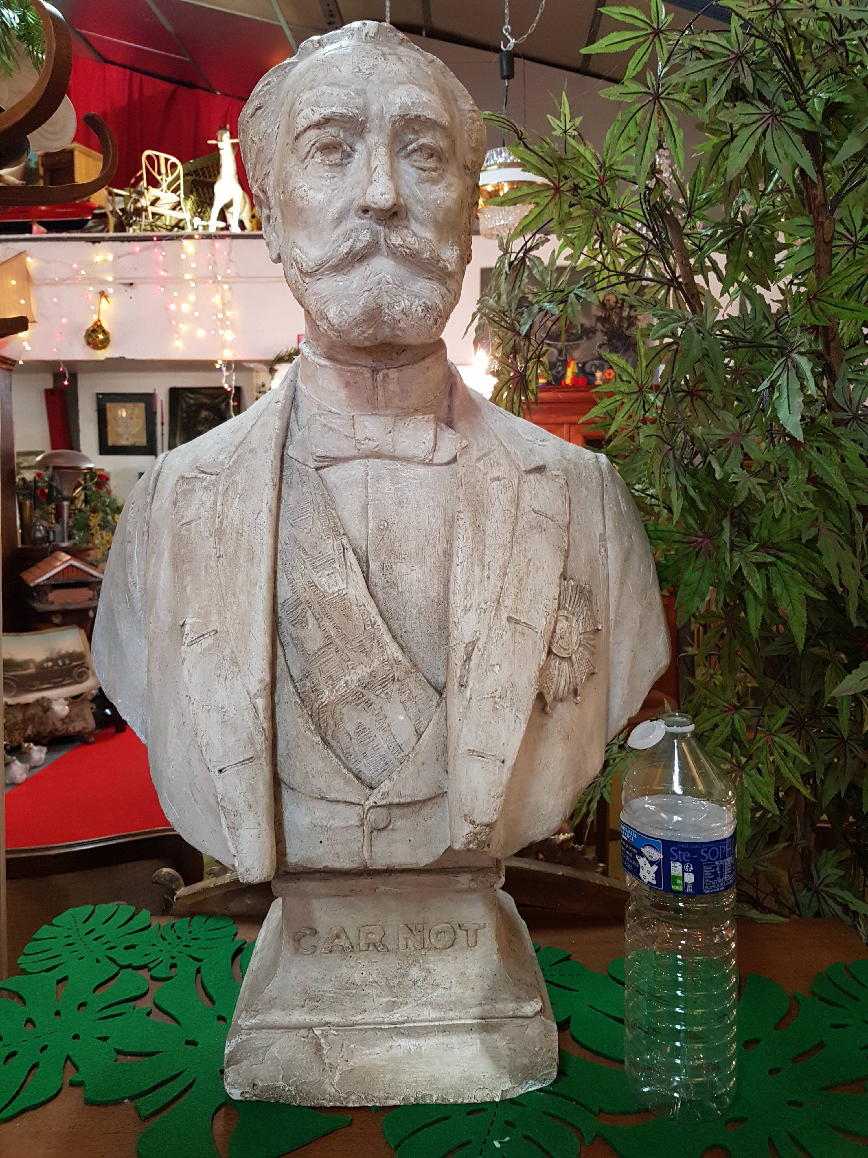 Bust of Sadi Carnot