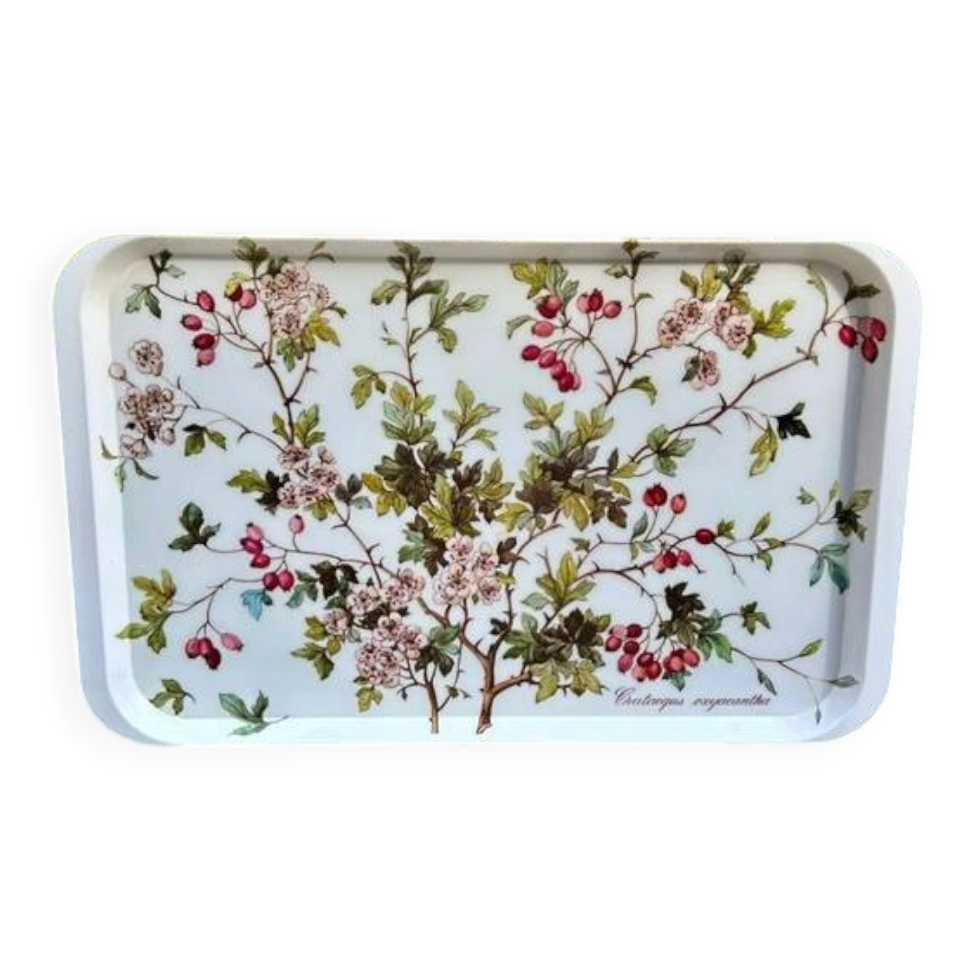 Plateau Villeroy and Boch Botanic