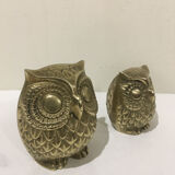 Brass owl duo