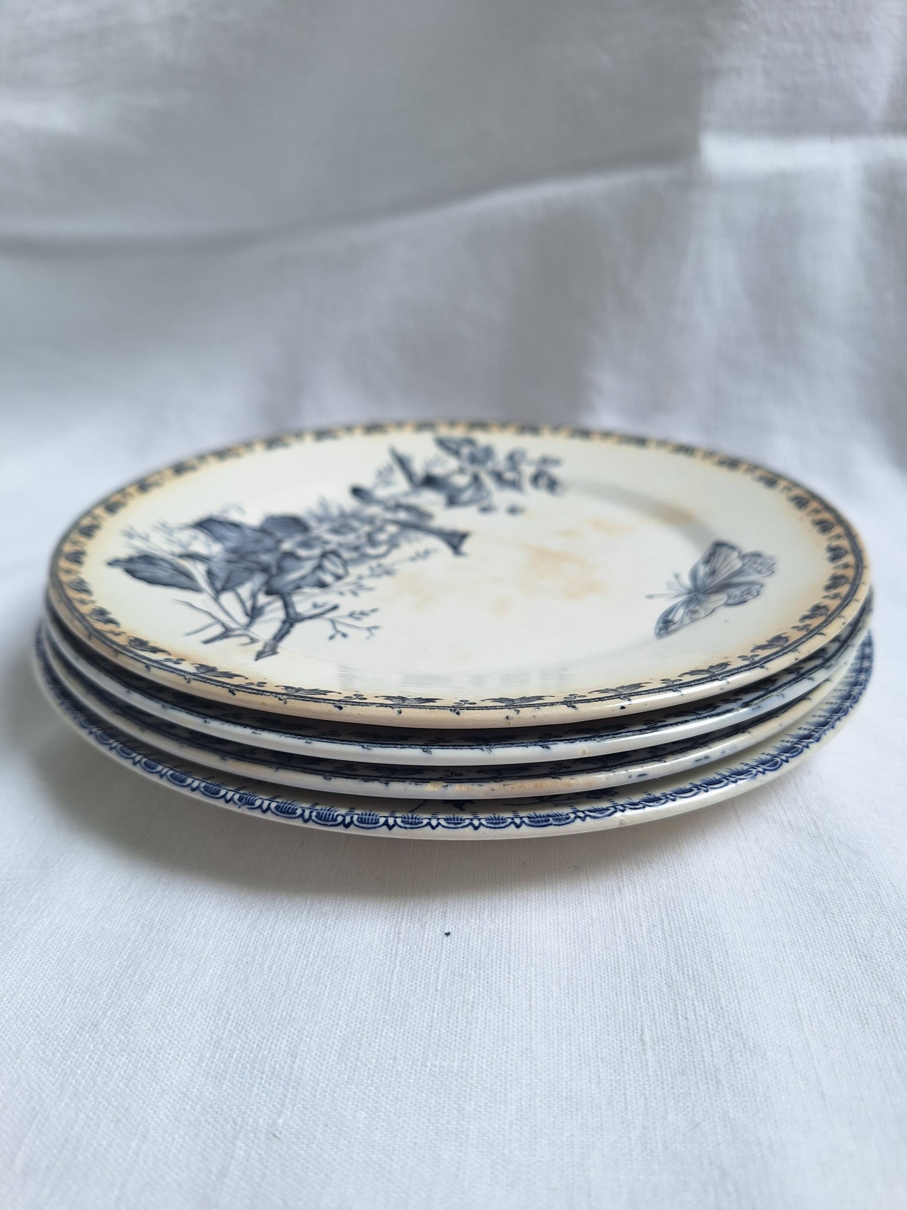 Vintage blue dinner plates