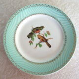 4 flat plates Birds