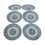 Set of 6 plates to serve 1800 English ceramic primavesi - its Cardiff