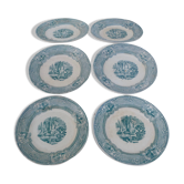 Ensemble de 6 assiettes à dessert  1800 ceramique Anglaise Primavesi & son Cardiff