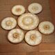 6 oyster shell plates and Chantilly porcelain serving platter