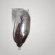 JUMO - SMALL LAMP 600