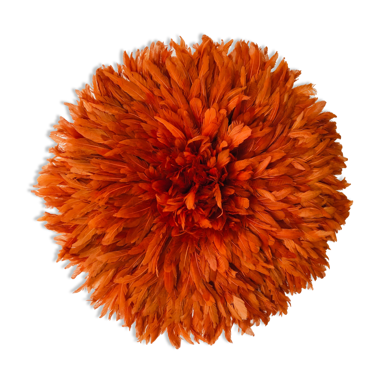 Jujuhat rouille 50 cm