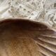 shell-shaped pocket tray in Italian ceramic Partenopee