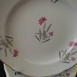 6 dessert plates in earthenware from SARREGUEMINES. DAMPIERRE model.