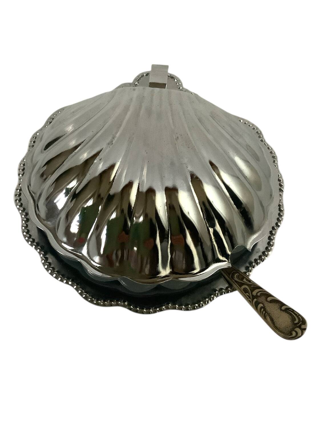 Beurrier coquillage