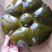 6 vintage ceramic oyster plates from Gien