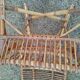 vintage antique rattan armchair
