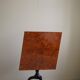 Antique handcrafted square table with drop leaves made of burl wood, Swedish, 19th century.
