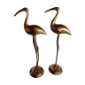 Duo ibis laiton