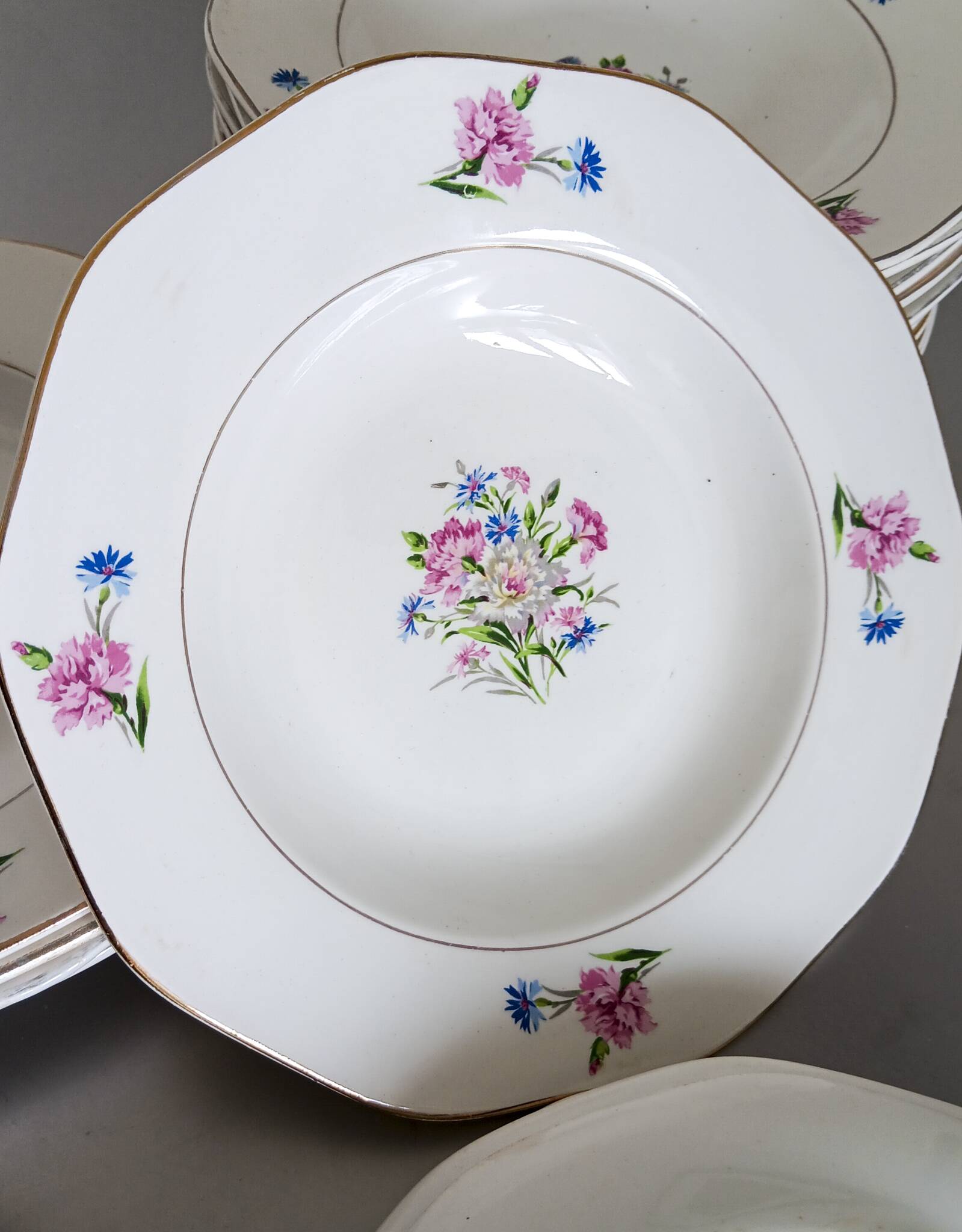 21 Digoin Sarreguemines porcelain soup plates, Nice model