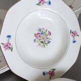 21 Digoin Sarreguemines porcelain soup plates, Nice model