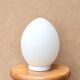 Minimalist egg lamp Domec in opaque white glass by Vianne, 1970s.