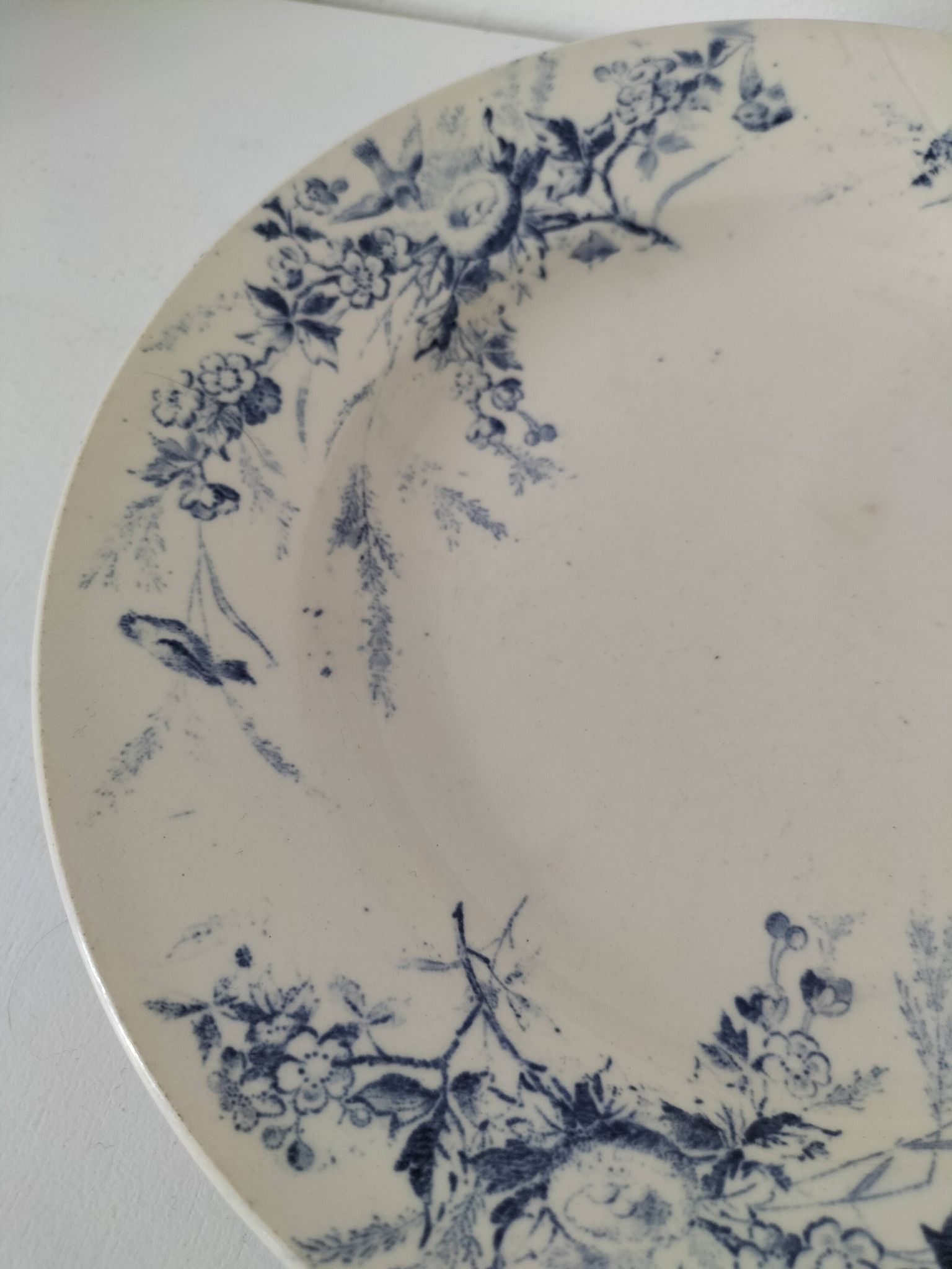 Assiettes Creil Montereau Modèle Linotte