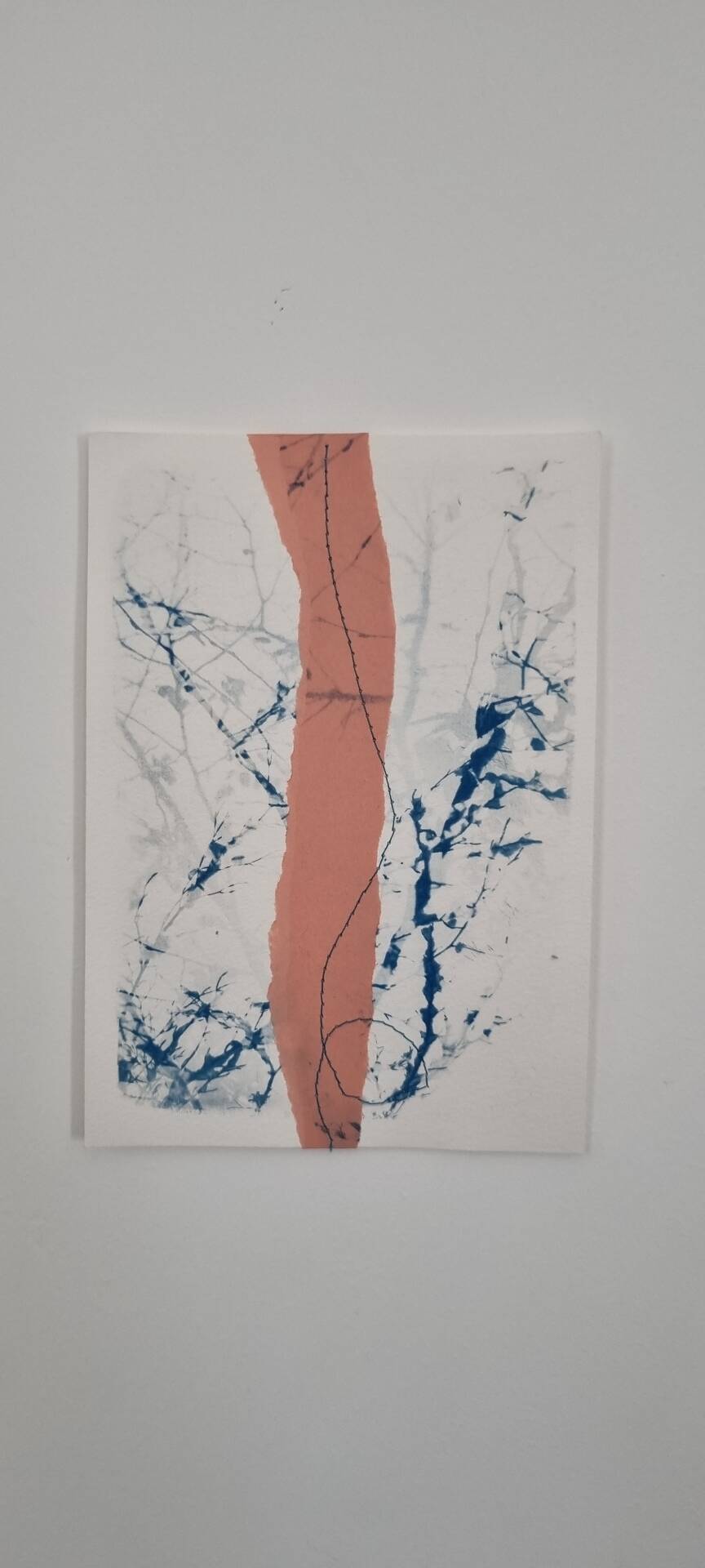 Cyanotype collage