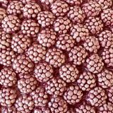 Vintage raspberry slurry pie dish 50s