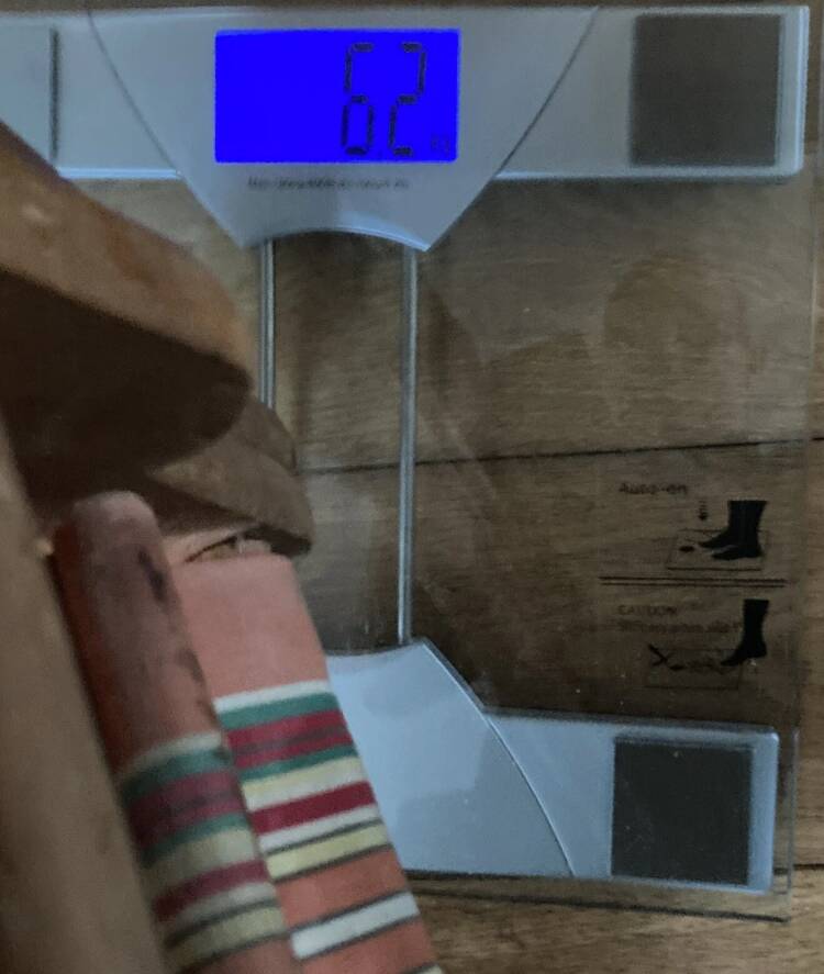 Folding chair known as a sun lounger from the early 20th century