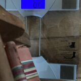 Folding chair known as a sun lounger from the early 20th century