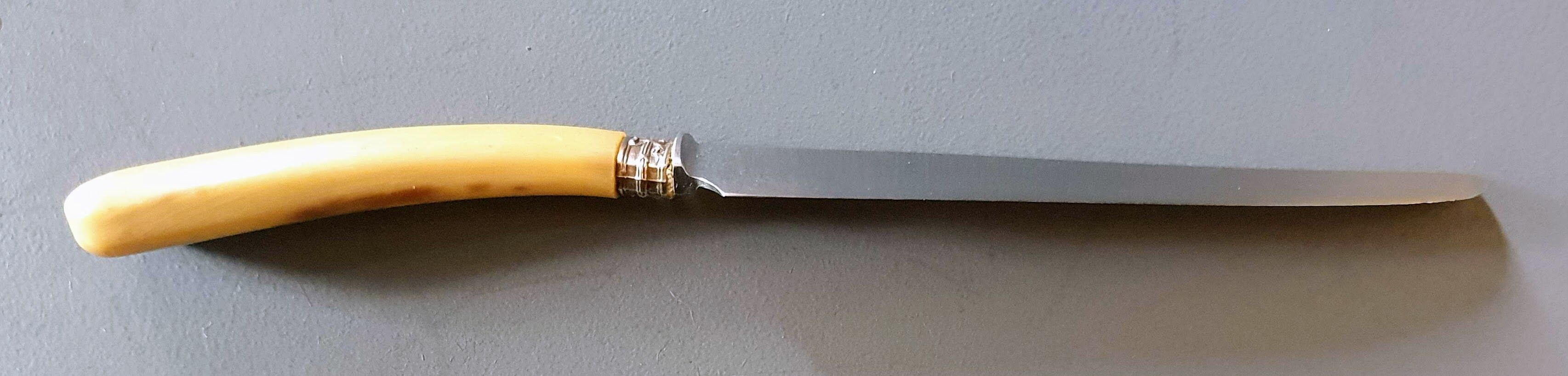 12 horn handle knives