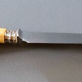 12 horn handle knives