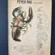 Crayfish vintage anatomy poster wall board from 1960's
