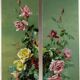 Paire de tableaux de roses- circa 1900