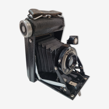 LL bellows camera circa 1920