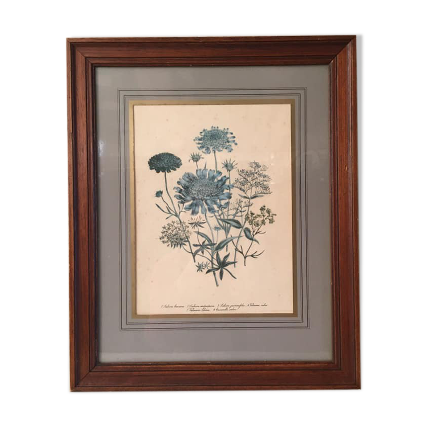 Table flowers under glass with wooden frame