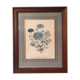 Tableau fleurs sous verre avec cadre en bois