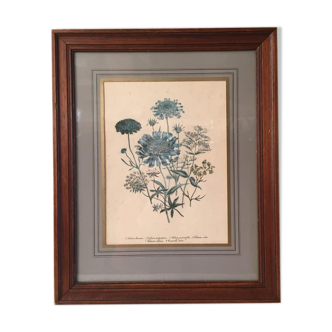 Tableau fleurs sous verre avec cadre en bois