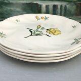 Flat plates stamped saline France