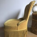 Yellow velvet toad heater