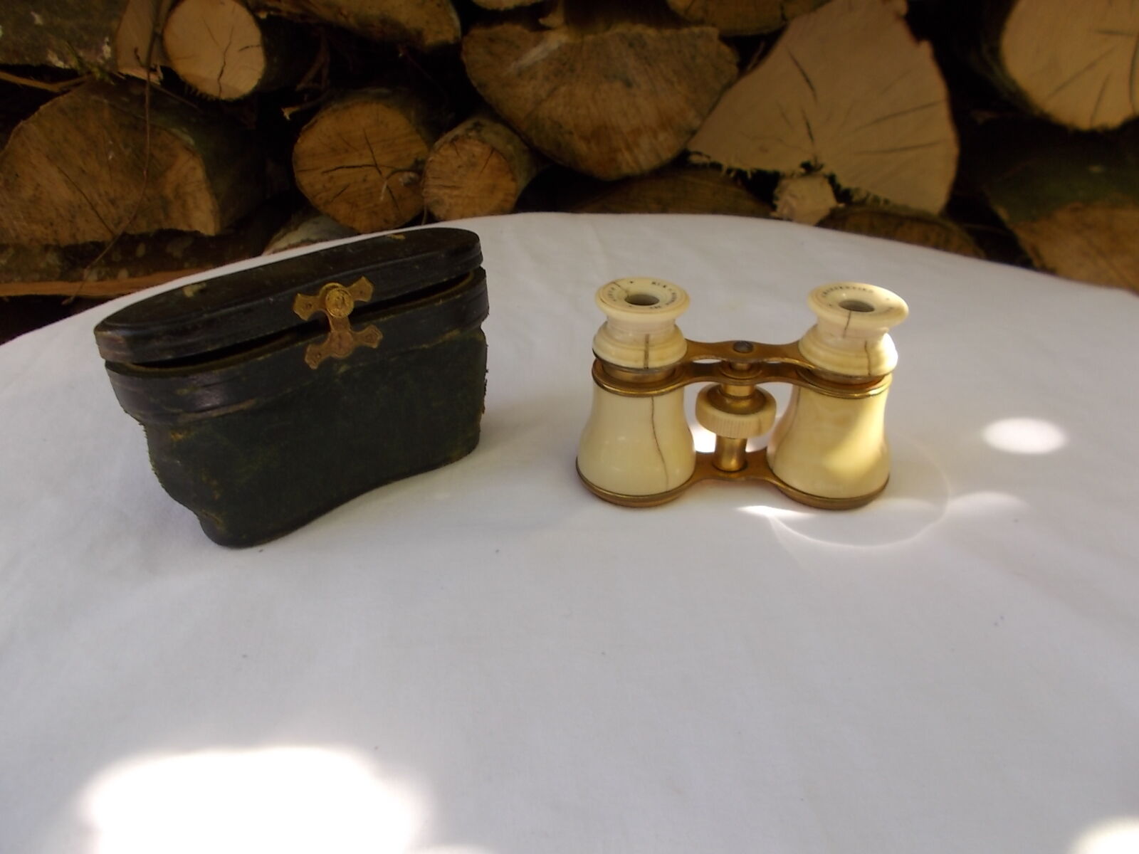 Opera or theatre twins