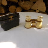 Opera or theatre twins