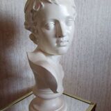 Head of a young man, plaster bust