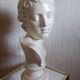 Head of a young man, plaster bust