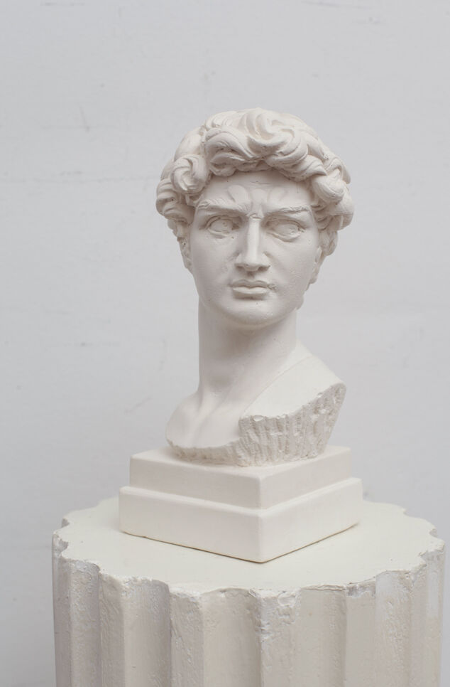 David head in white plaster