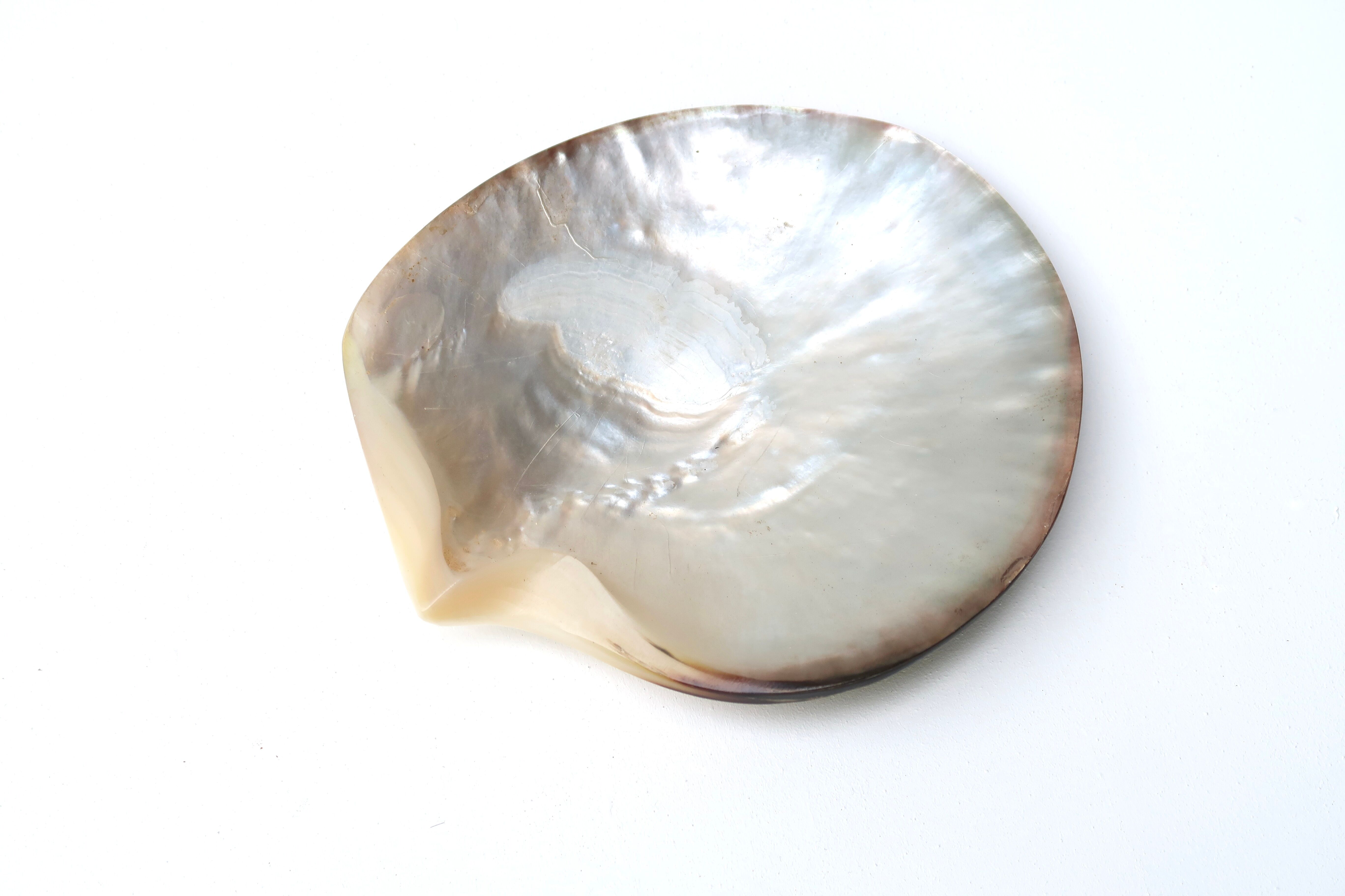 Empty mother-of-pearl pocket, polished pearl oyster, 70s