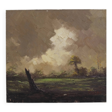 Landscape oil painting on canvas | 1950s