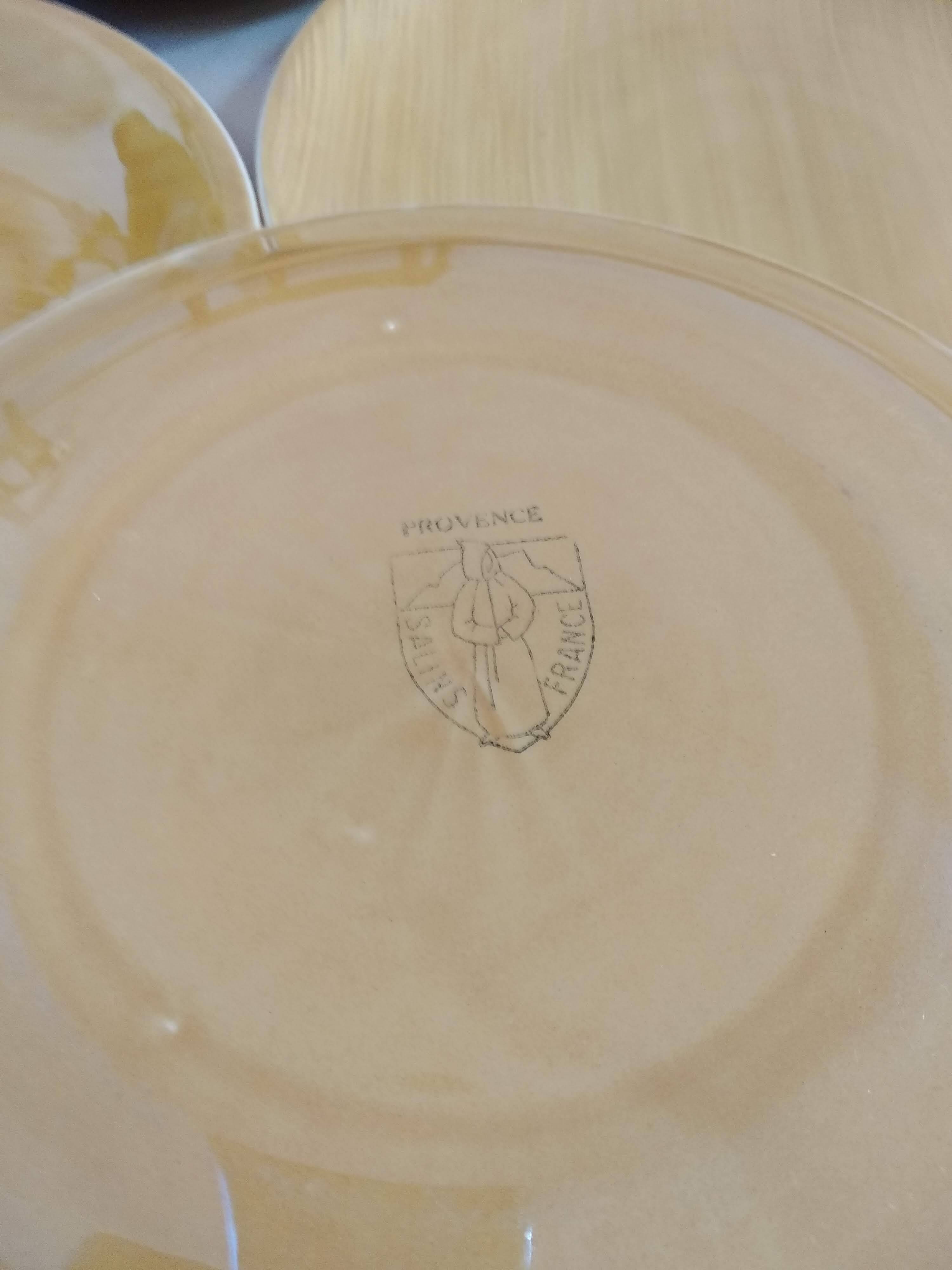 Salins Earthenware Dinner Service, Provence Model, 70'